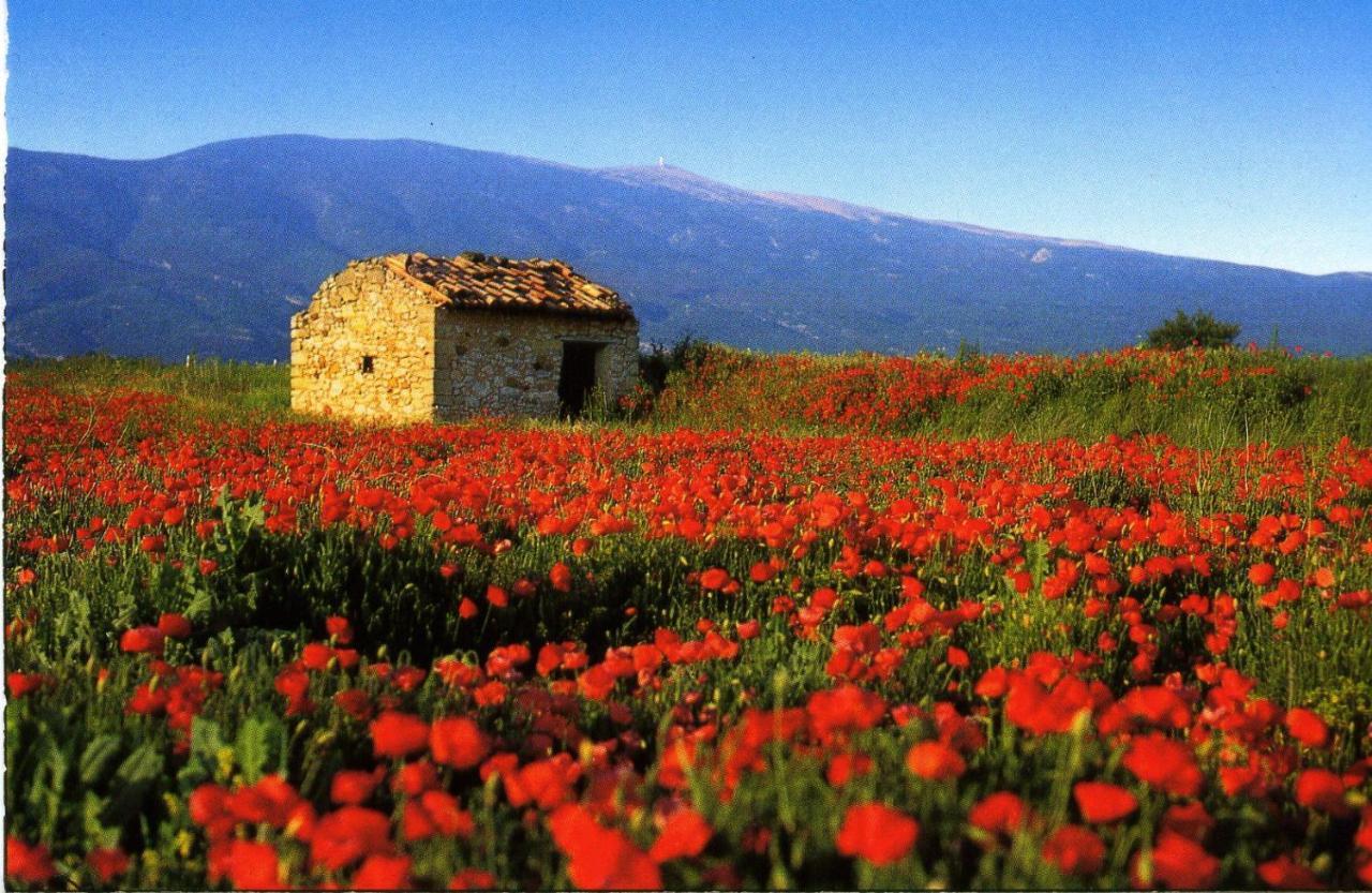 Maison De Village De 98 M2 Typiquement Provencale Pierrevert Dış mekan fotoğraf